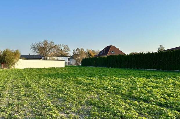 Grundstück kaufen in 2486 Pottendorf (Bild 1)
