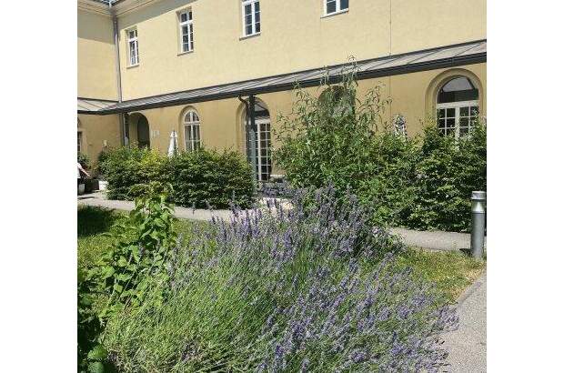 Mietwohnung in 4600 Wels (Bild 1)