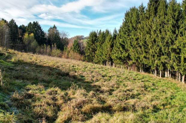 Grundstück kaufen in 8301 Kainbach (Bild 2)