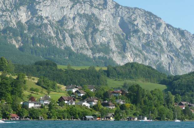 Grundstück kaufen in 4853 Steinbach