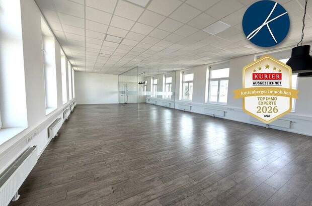 Büro / Praxis mieten in 3500 Krems (Bild 2)