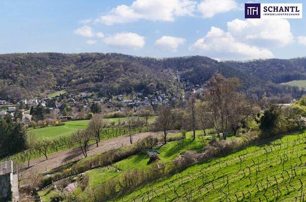 Grundstück kaufen in 3400 Klosterneuburg (Bild 3)