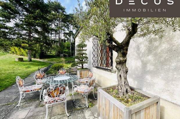 Haus kaufen in 2380 Perchtoldsdorf (Bild 3)