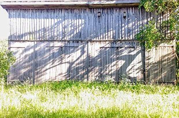 Grundstück kaufen in 3653 Weiten (Bild 3)