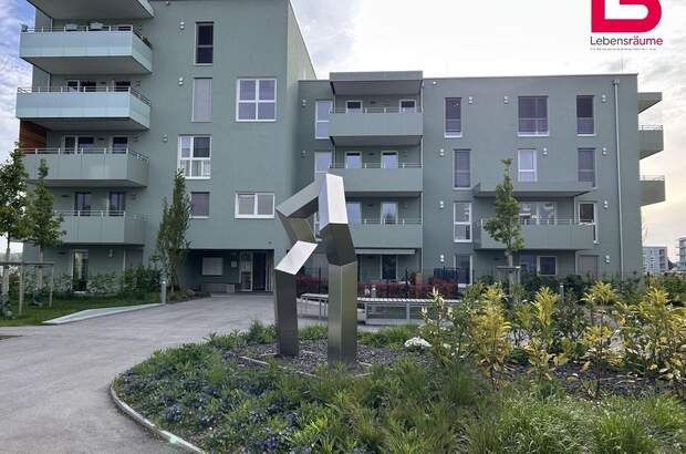 Wohnung mit Balkon kaufen in 4481 Asten (Bild 1)