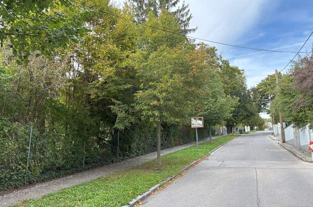 Grundstück kaufen in 2371 Hinterbrühl (Bild 4)