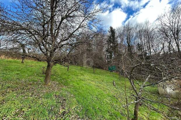 Einfamilienhaus kaufen in 5023 Salzburg (Bild 1)