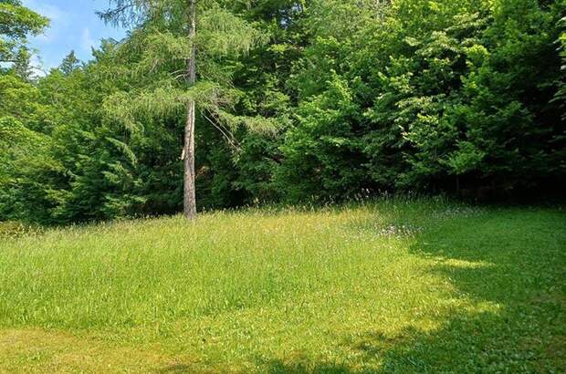 Grundstück mieten in 5324 Faistenau (Bild 4)