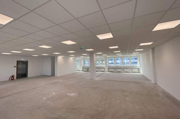 Gewerbeobjekt mieten in 2351 Wiener Neudorf (Bild 4)