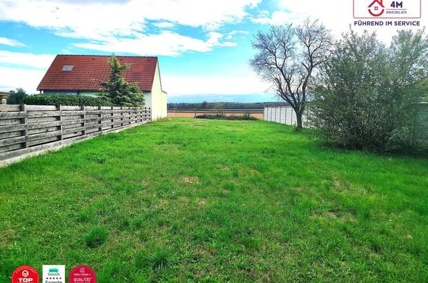 Grundstück kaufen in 2294 Marchegg (Bild 1)