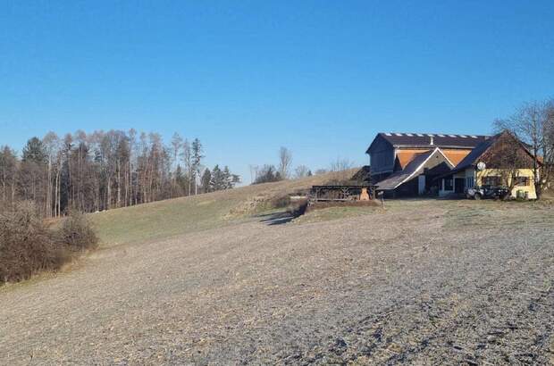 Gewerbeobjekt kaufen in 8082 Kirchbach (Bild 1)