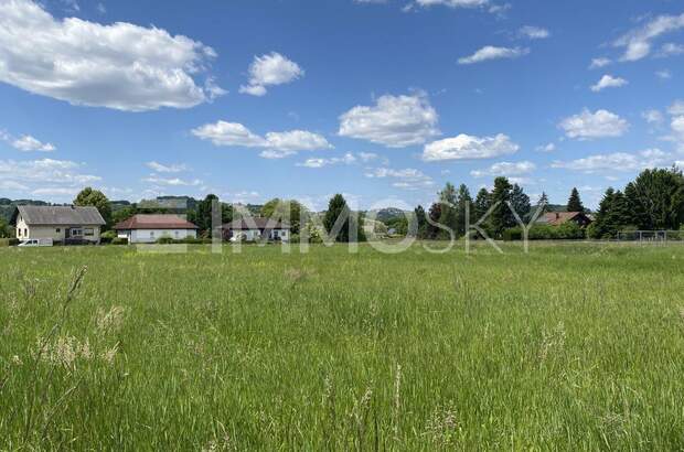 Grundstück kaufen in 7551 Stegersbach (Bild 4)