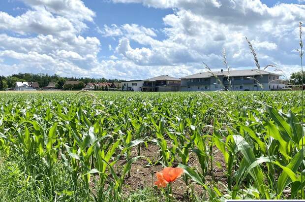 Gewerbeobjekt kaufen in 4623 Gunskirchen (Bild 4)