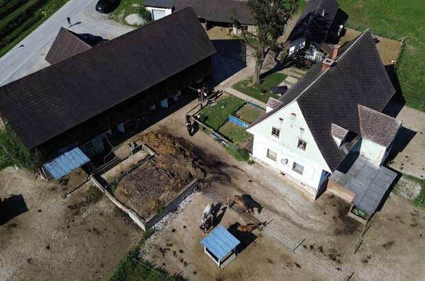 Gewerbeobjekt kaufen in 8570 Voitsberg (Bild 3)