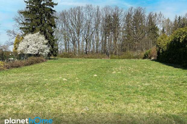 Grundstück kaufen in 3062 Kirchstetten (Bild 2)