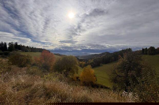 Beherbergungsbetrieb kaufen in 9112 Griffen (Bild 5)