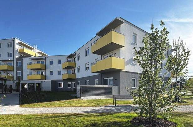 Terrassenwohnung mieten in 2700 Wr. Neustadt (Bild 2)