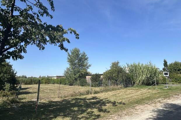 Grundstück kaufen in 7100 Neusiedl (Bild 2)