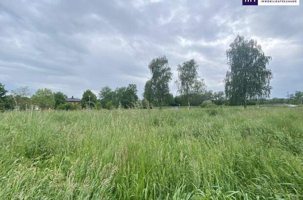 Grundstück kaufen in 7564 Dobersdorf (Bild 4)