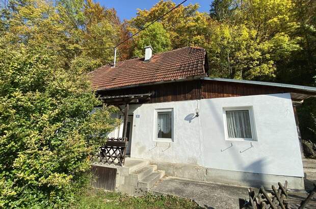 Haus kaufen in 4452 Ternberg (Bild 3)