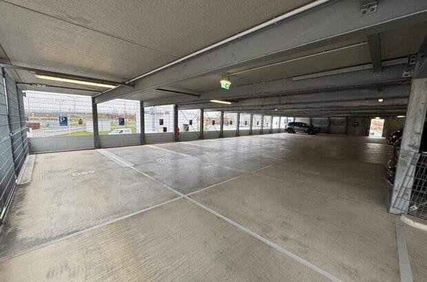 Halle / Lager / Produktion mieten in 2331 Vösendorf (Bild 3)