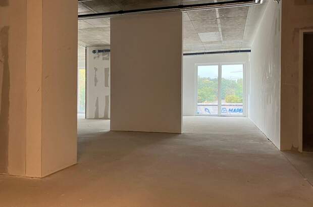 Gewerbeobjekt mieten in 1230 Wien (Bild 5)