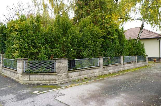 Haus mit Garten kaufen in 3950 Ehrendorf (Bild 3)
