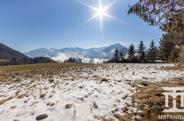 Grundstück kaufen in 9161 Göltschach (Bild 4)