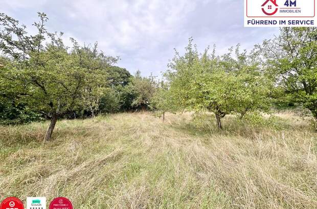 Grundstück kaufen in 2721 Bad Fischau (Bild 1)