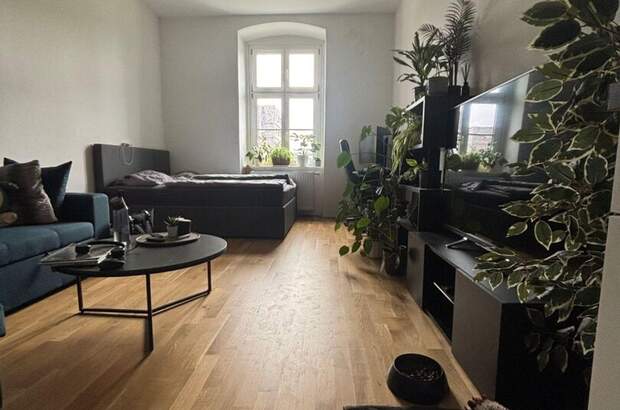 Mietwohnung in 4600 Wels (Bild 2)