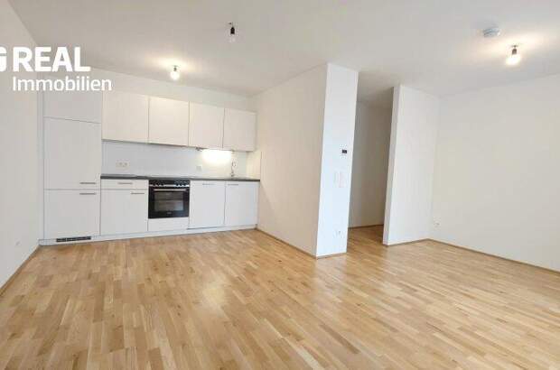 Terrassenwohnung mieten in 1220 Wien (Bild 2)