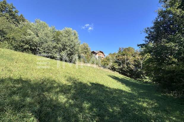 Grundstück kaufen in 9212 Techelsberg (Bild 1)