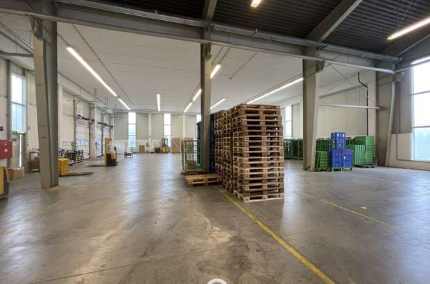 Gewerbeobjekt mieten in 4030 Linz (Bild 3)