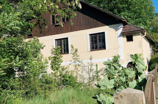 Haus kaufen in 2870 Aspang (Bild 4)