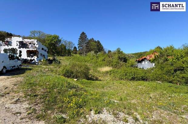 Grundstück kaufen in 3400 Klosterneuburg (Bild 2)