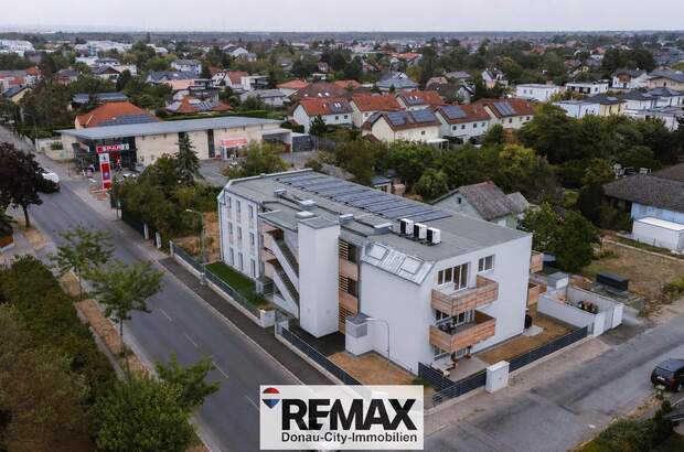 Terrassenwohnung kaufen in 2232 Deutsch (Bild 5)