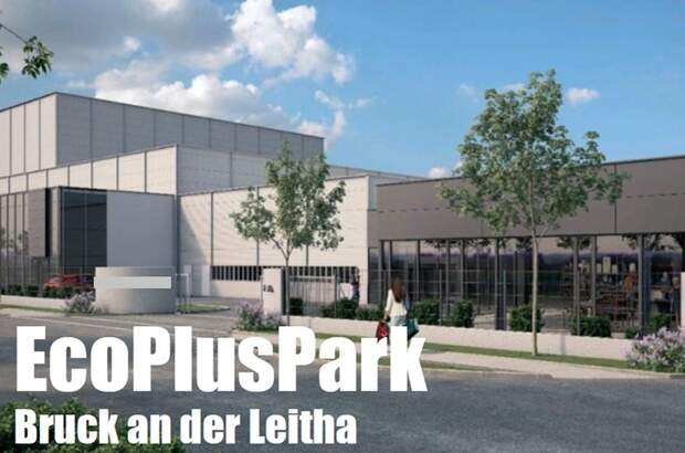 Gewerbeobjekt kaufen in 2460 Bruck an der Leitha (Bild 3)