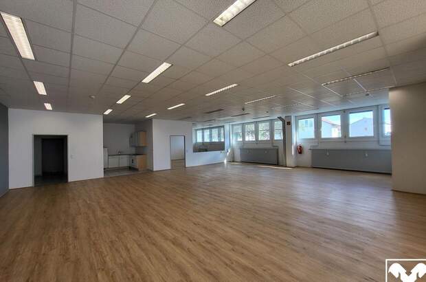 Gewerbeobjekt mieten in 4050 Traun (Bild 3)