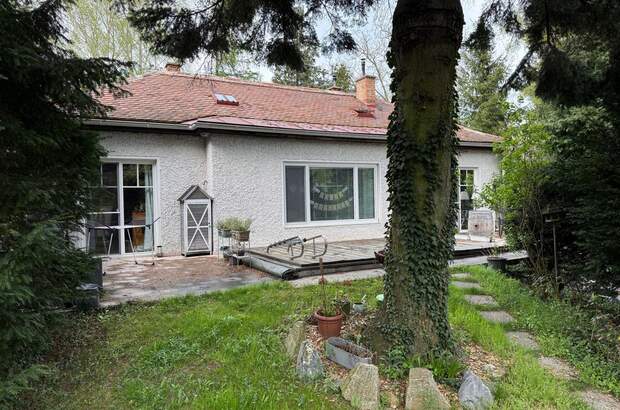 Einfamilienhaus mieten in 2381 Laab (Bild 3)