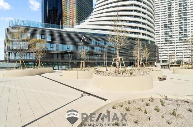 Terrassenwohnung mieten in 1220 Wien (Bild 1)