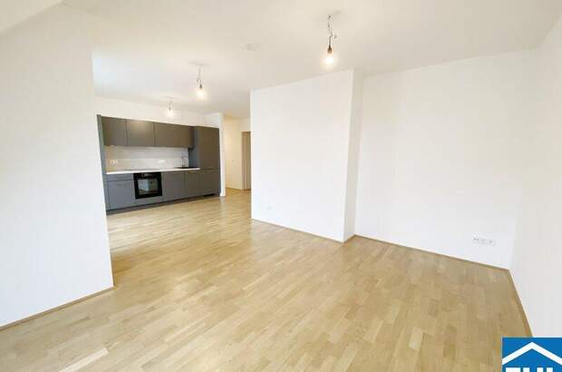 Terrassenwohnung mieten in 1110 Wien (Bild 2)