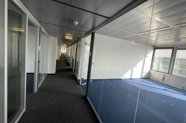 Gewerbeobjekt mieten in 1220 Wien (Bild 3)