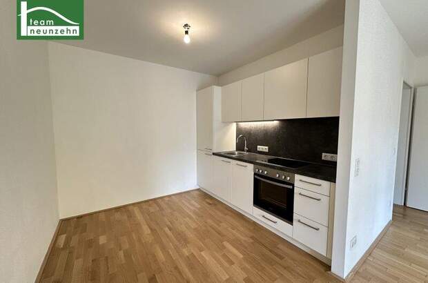 Terrassenwohnung mieten in 1210 Wien (Bild 2)