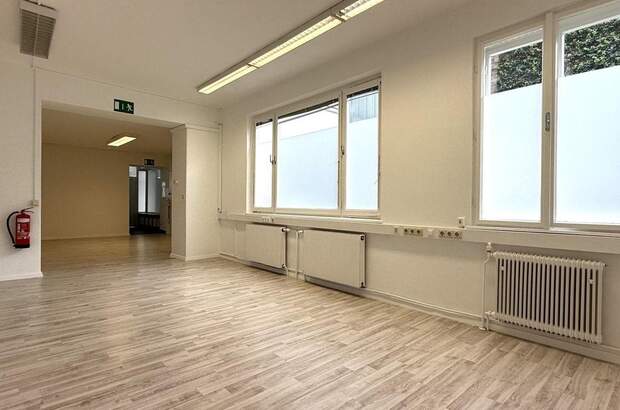 Gewerbeobjekt mieten in 2700 Wiener Neustadt (Bild 4)