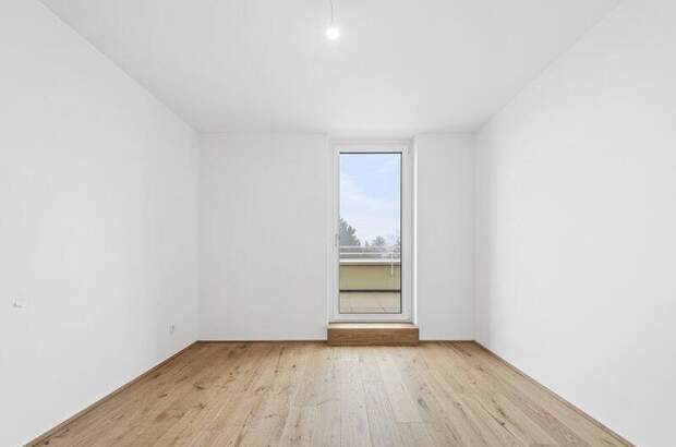 Terrassenwohnung kaufen in 2540 Bad Vöslau (Bild 2)