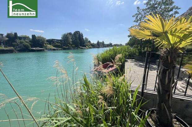 Einfamilienhaus kaufen in 2301 Groß (Bild 1)