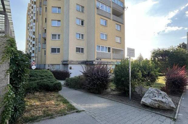 Terrassenwohnung kaufen in 1220 Wien (Bild 4)