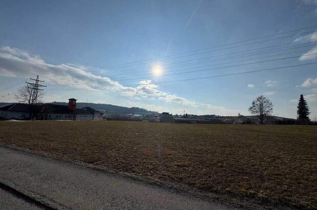 Gewerbeobjekt kaufen in 4150 Rohrbach (Bild 3)