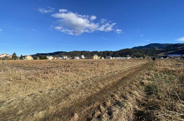 Grundstück kaufen in 8720 Apfelberg (Bild 1)