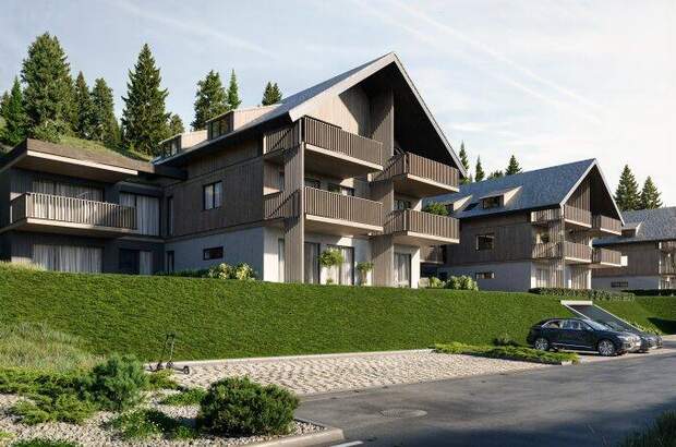 Halle / Lager / Produktion kaufen in 9571 Hochrindl (Bild 2)